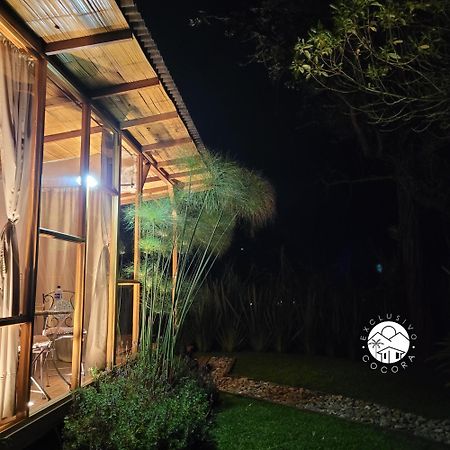 Exclusivo Cocora Con Jacuzzi Salento Quindioヴィラ エクステリア 写真