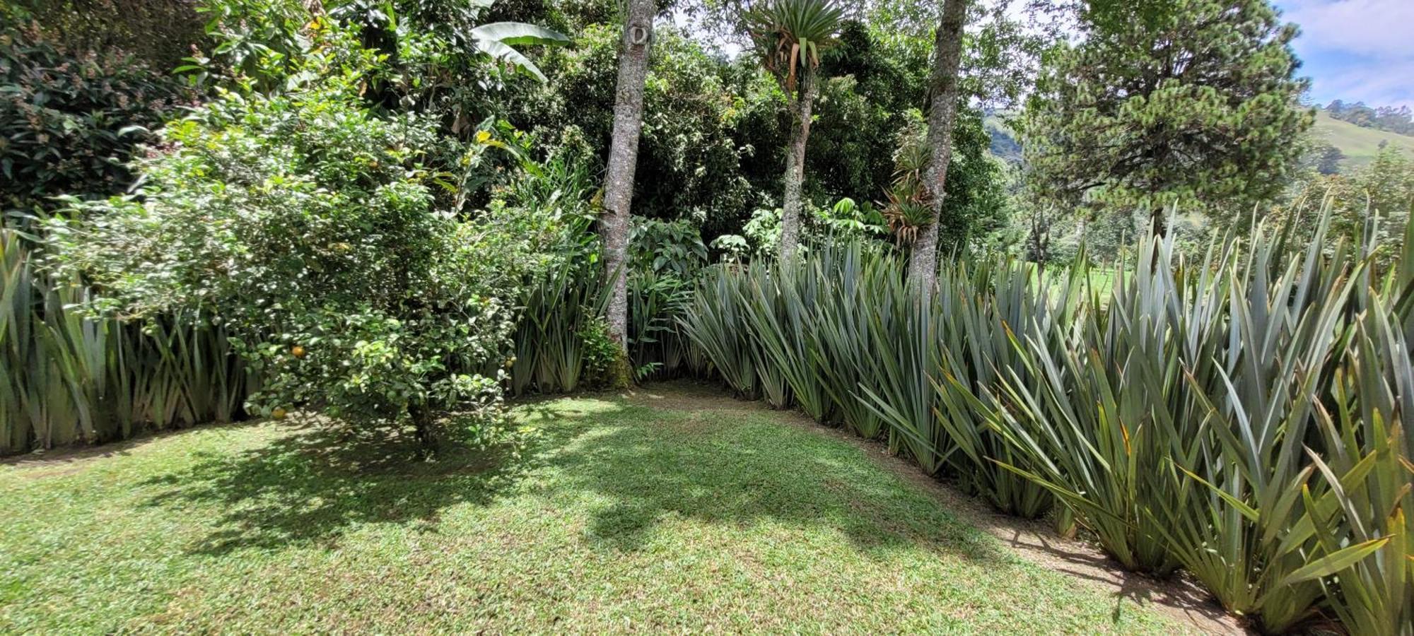 Exclusivo Cocora Con Jacuzzi Salento Quindioヴィラ エクステリア 写真